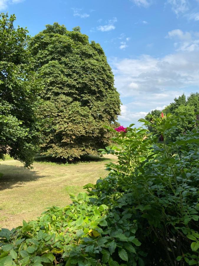 Apartment Altes Pastorat Schwichtenberg *